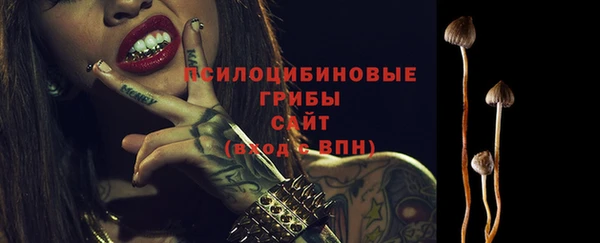 Альфа ПВП Краснослободск