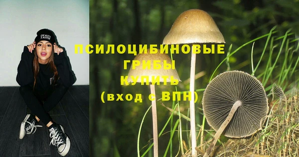мдма Корсаков
