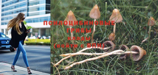 мет Костерёво