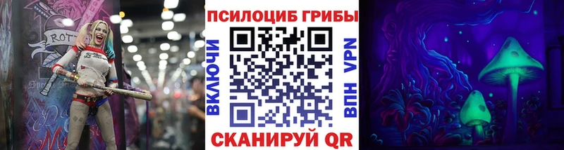 Псилоцибиновые грибы Cubensis  Купить  Югорск 