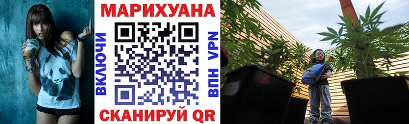 Конопля конопля Югорск